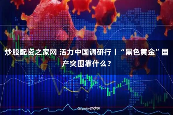 炒股配资之家网 活力中国调研行丨“黑色黄金”国产突围靠什么？